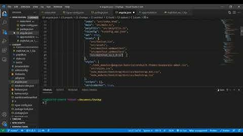Integration of Push Notifications with Angular 11