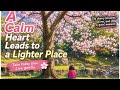 Songs for the Soul 🌿  Real Japan Gentle Pop Ballads