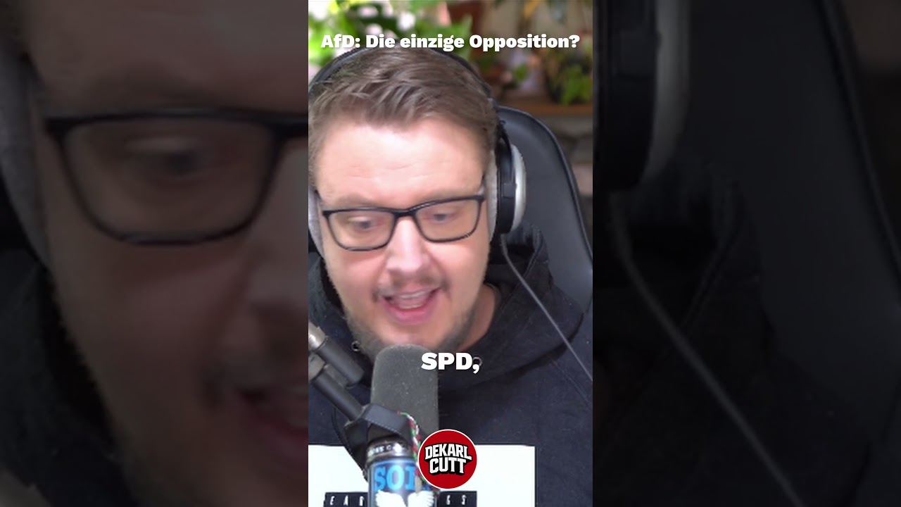 #dekarlcutt #twitch #dekarldent #clip #afd #afddeutschland AfD: Die einzige Opposition?