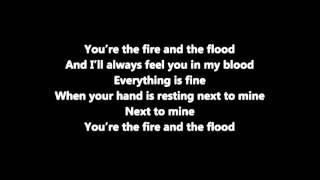 Video thumbnail of "Vance Joy - Fire and the Flood Lyric"