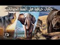 قصص قصيرة على ألسنة الحيوانات قصص وعبر وحكم نوادر وطرائف المجموعة الثانية
