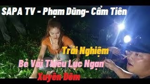 Cùng SAPA TV Phạm Dũng Cẩm Tiên Hái Vải Thiều Lục Ngạn Xuyên Đêm l Núi Đồi Lục Ngạn