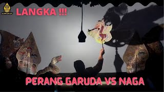 LANGKA!! Perang Hewan yang jarang ditampilkan - Ki WARSENO SLENK
