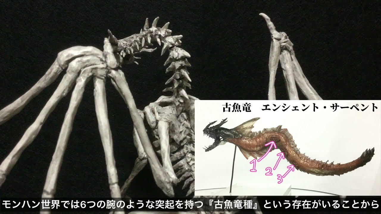 モンハン 骨格 フィギュア 海竜 ラギアクルス 化石フィギュア HLJ co jp
