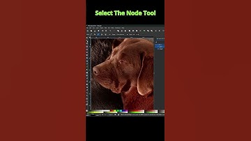 Remove Background with Bezier Tool
