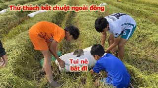 Huy Team Vlog | Thử Thách Bắt Chuột Bằng Tay Không Ngoài Đồng | Survival In The Field