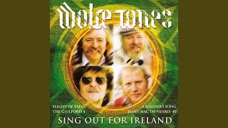 Video thumbnail of "The Wolfe Tones - Flight of the Earls"