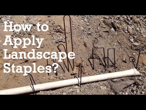 Where Do You Staple A Landscape Document