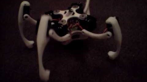 Quadruped Robot Walk Test