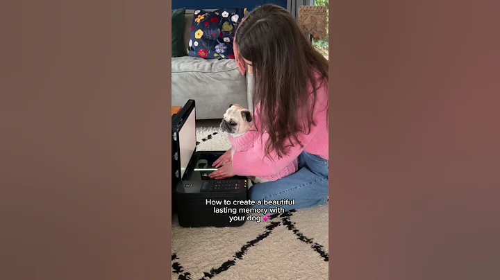 I will cherish this memory with my dog forever 🥹🫶🏼 #dog #pug #cute #shorts - DayDayNews