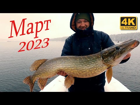 Монстры ещ есть. Рыбалка на спиннинг в марте 2023