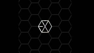 EXO - OT12 Chinese Album
