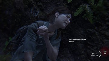 The Last of Us Part II - First Encounter with the Scars