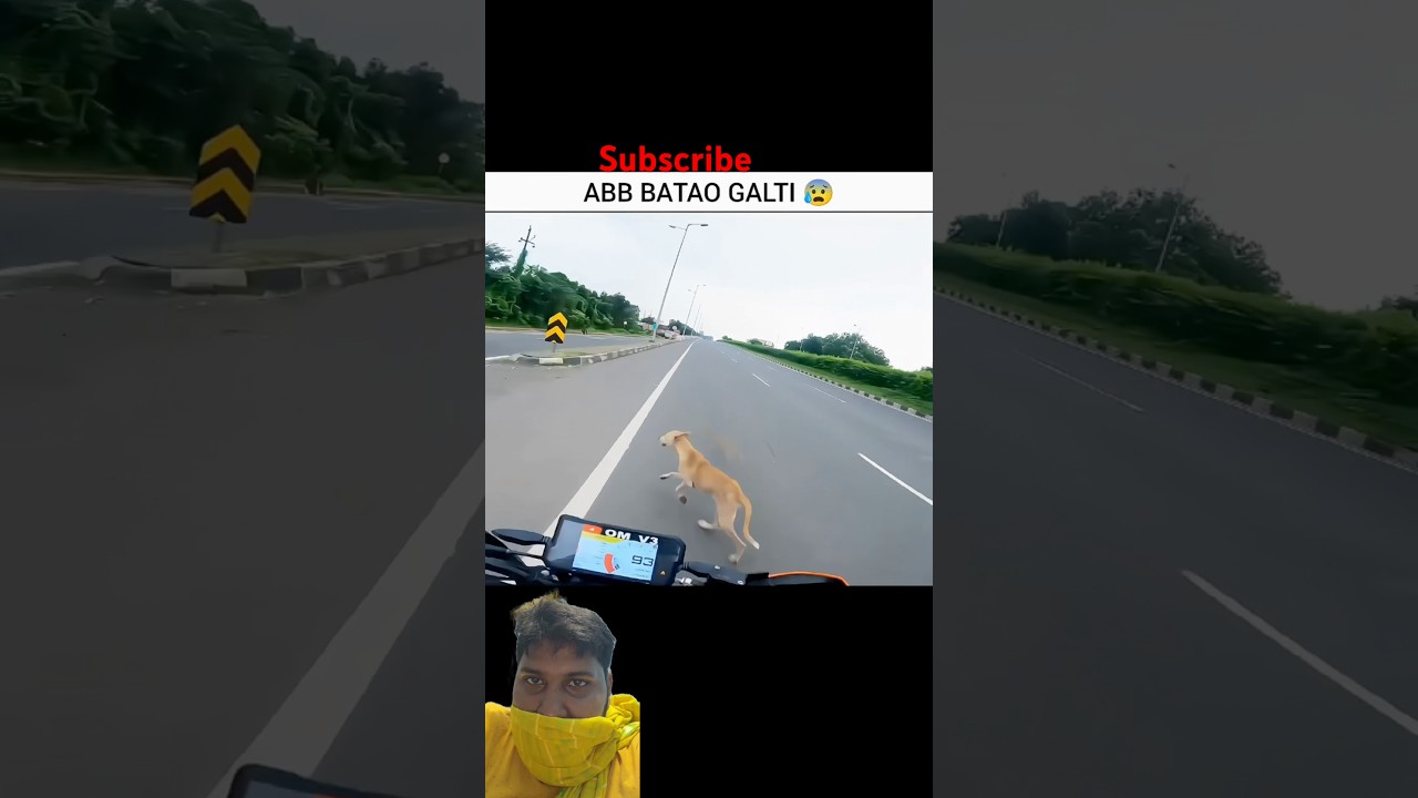 𝗣𝗿𝗮𝘆 𝗙𝗼𝗿 𝗗𝗼𝗴 🐶😰 𝗠𝗼𝘁𝗼𝘃𝗹𝗼𝗴𝘀 #shorts #cow #motovlog #motovlog
