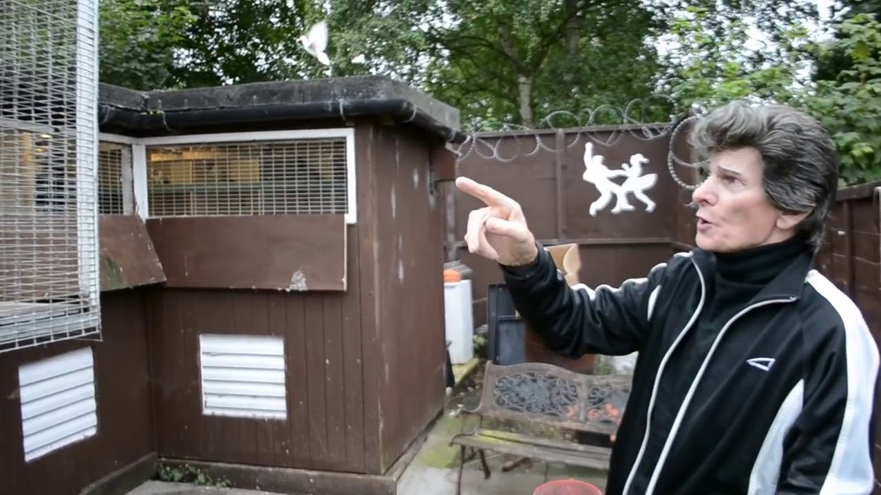 Tipplermen of Great Britain  Mike Camplin Boden Tipplers  Pigeon Documentaries