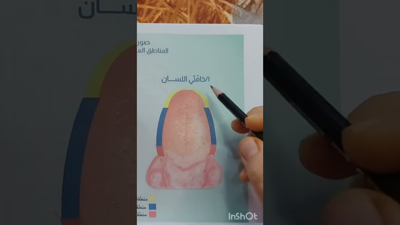 مخرج حرف الضاد مع الأمثال من القرآن