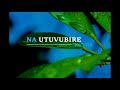 Utuvubire imvura by aime uwimanaofficial lyrics by brave