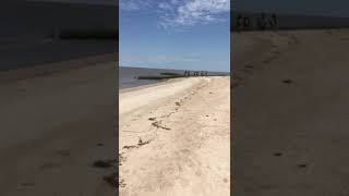 Beach horseriding in Colonia del Sacramento