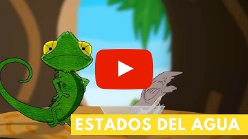Estados del agua | Camaleón