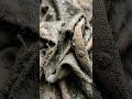 Crazy Shape Cement Planter 🤯 Unique DIY Art Pot #shorts