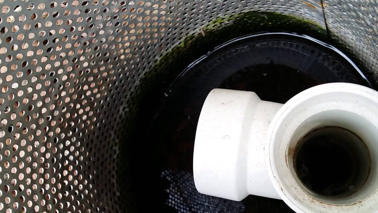 Why you don't need a auto siphon! - YouTube