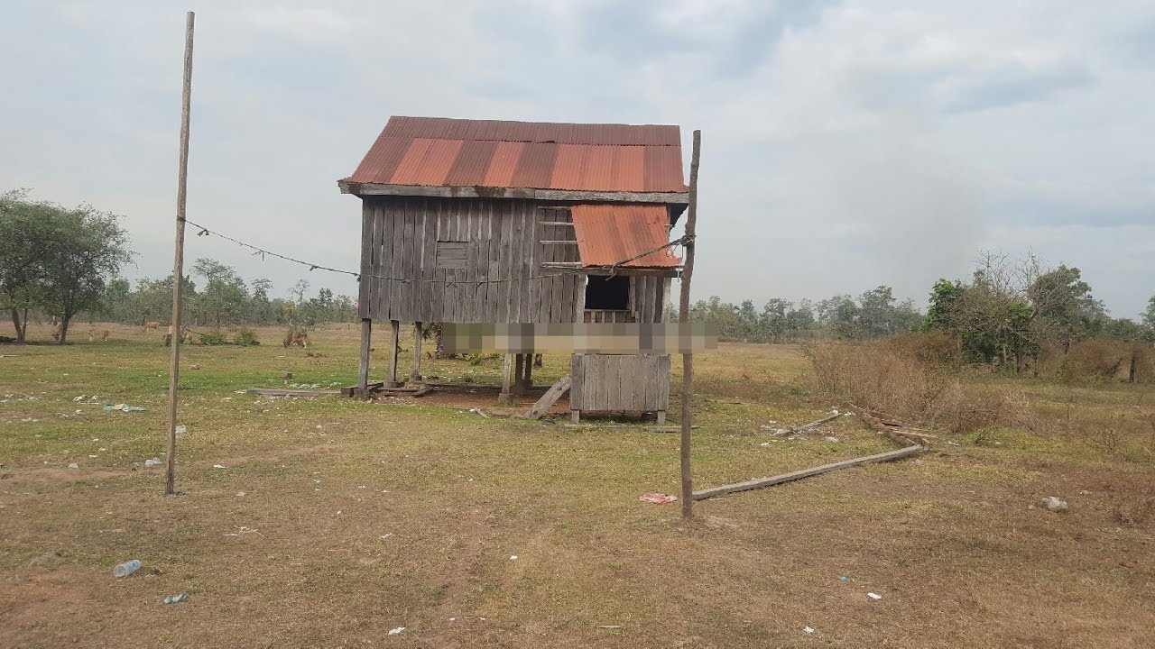 ដីលក់ បន្ទាន់ 10000m2 7,000 TEL នៅរតនគិរី Cambodia house for sale