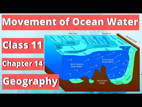 Movement of Ocean Water class 11 Geography chapter 14 | NCERT Class 11 Chapter 14 Geography