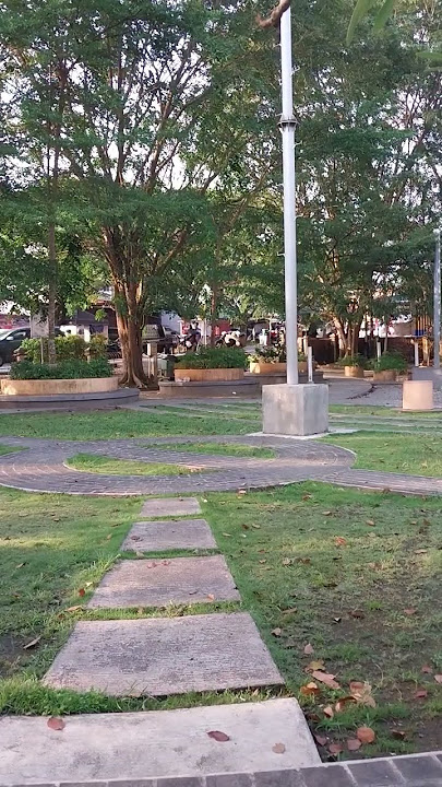 Mentahan Background Video | Background Aesthetic Video | Taman 🎍 Park