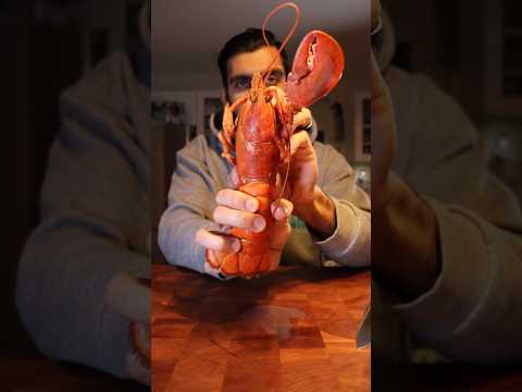 Let's Try Gordon Ramsay's LOBSTER ROLL