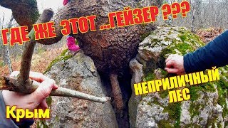 Крым. Очень неприличный лес! Что мы там нашли? Водопады, Гейзер, Каменные грибы. Сотера. Крым 2018