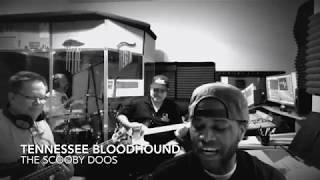 Marvin Gaye-Hitch Hike(Tennessee Bloodhound and The Scooby Doos)