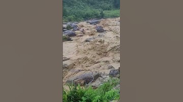 Quảng Ngãi: Lũ quét về trong đêm, xã Ngọc Linh di dời dân khẩn cấp (Phần 2)