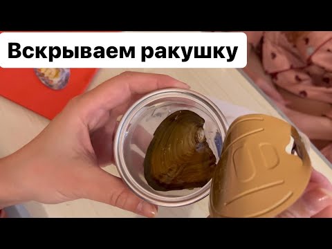 Пижамная вечеринка. Ищем жемчужину в ракушке.