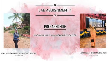 LAB ASSIGNMENT_1 (FIN 534)