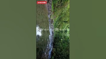 سورة الإخلاص #السعودية #القرآن_الكريم #المغرب
