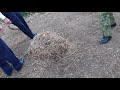 手榴弾(しゅりゅうだん)を自衛隊が処理してくれた