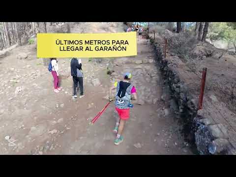 MI TRANSGRANCANARIA CLASSIC 2025