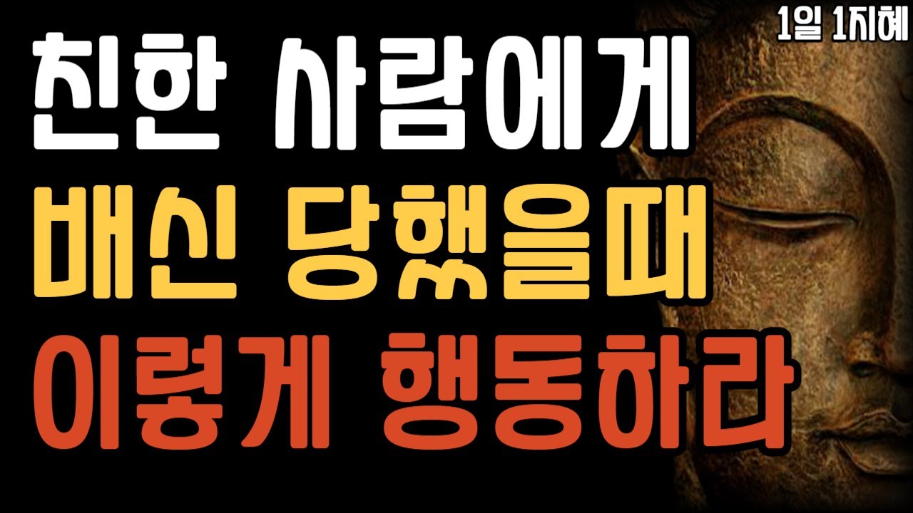 Outline Video 나를 배신한 사람 가만두지 말아라 | 노후인생 | 틀어놓고 자면 딱 좋은 이야기| 매일 듣는 말씀 |불교|인생조언|철학|명|오디오북