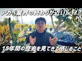 【アガベ業界】15年前から今後まで感じる事を素直に語ってみた。