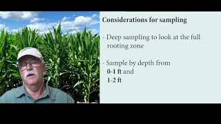 Ears to the Ground Part 2: ISNT and PSNT Soil Nitrogen Tests