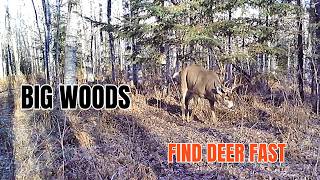5 Ways To Find BIG WOODS Deer FAST