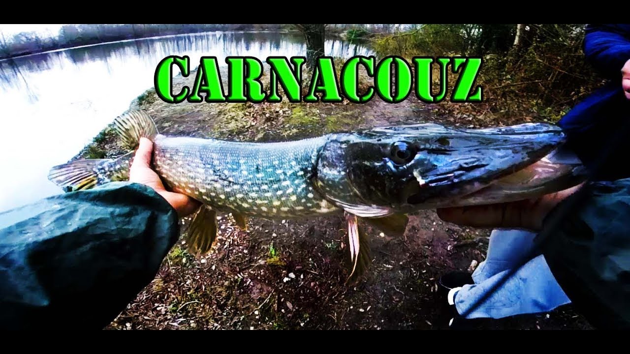 CARNACOUZ 31 !! Session Pêche Lamartine Premiers Brochets de 2018