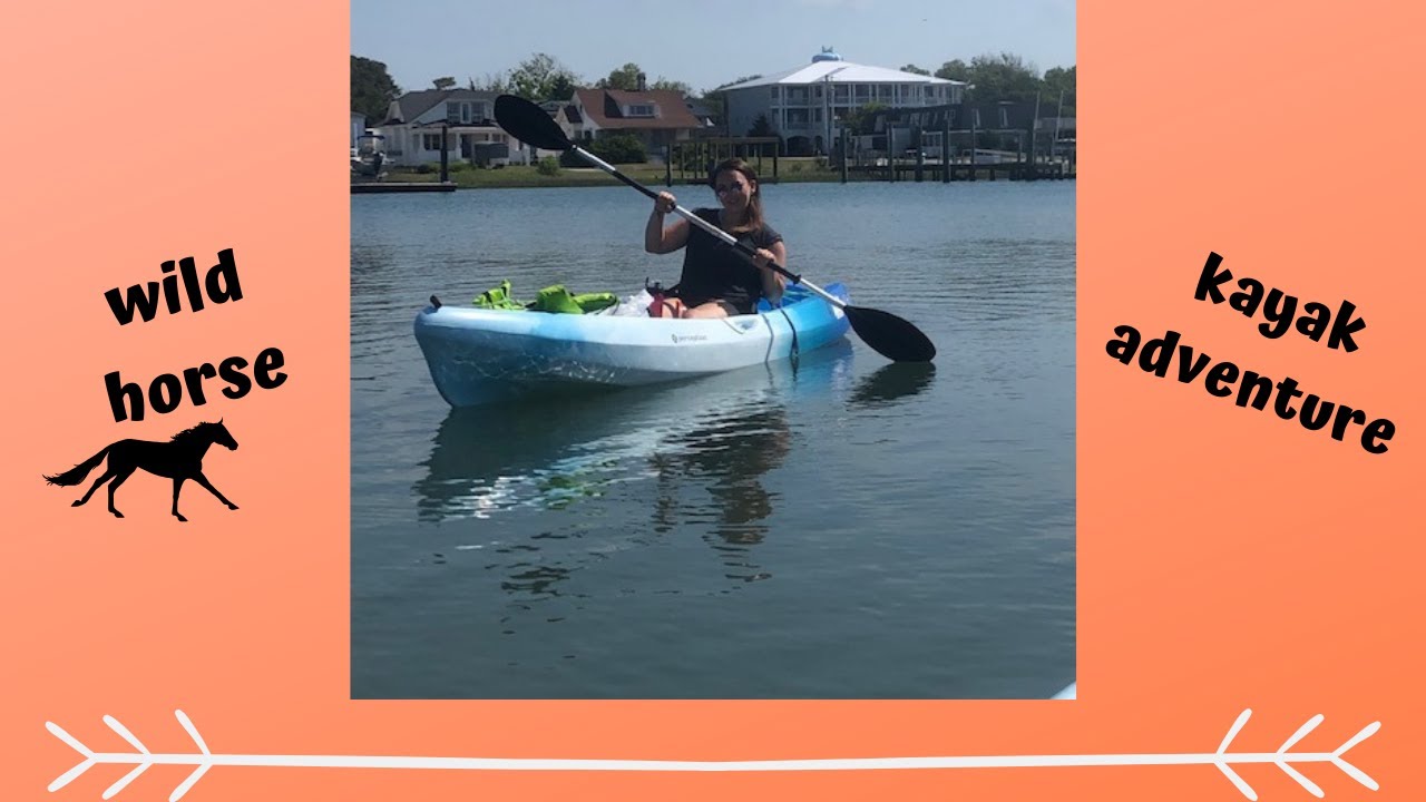 wild horseskayak adventure YouTube