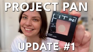 Project PAN | first update of 2025 + low spend on beauty + skincare!