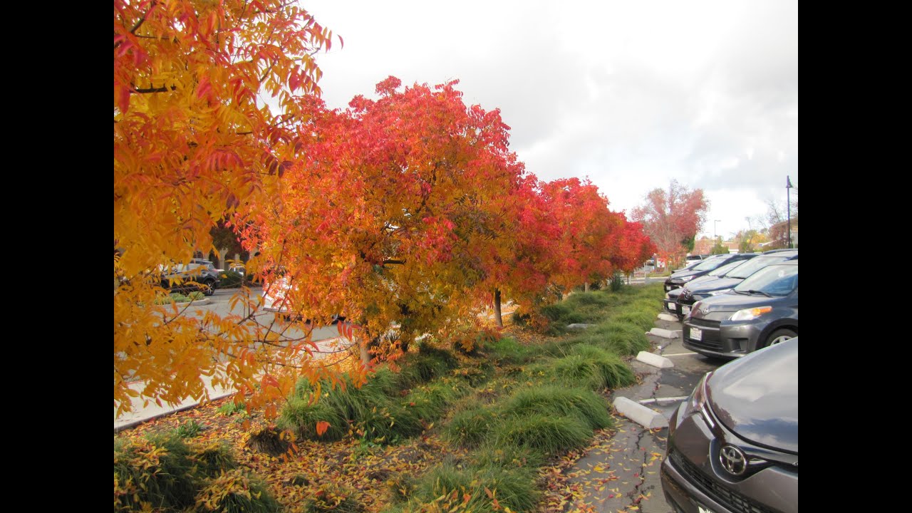 Pinole Valley Community Church - April 23,  2023