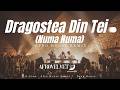 Dragostea Din Tei (Numa Numa) – Deep Afro House Remix by AfroVelvet