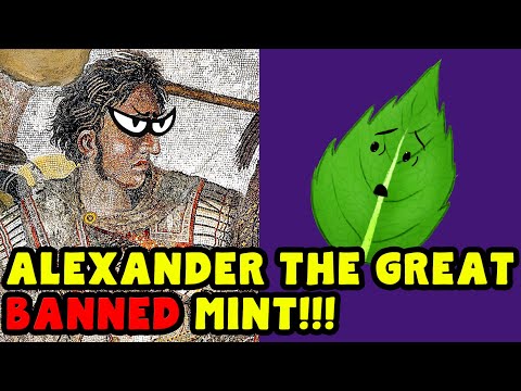 The HISTORY & ORIGINS of MINT, PEPPERMINT & SPEARMINT