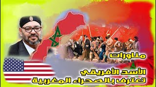 نهايو البوليزاريو,مناورات الأسد الأفريقي2021,تعترف بالصحراء المغربية\Abdou sky