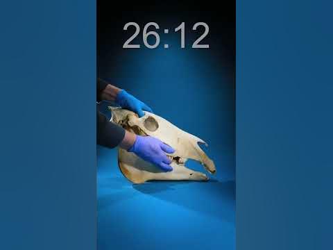 Did you get it right? What time? - YouTube