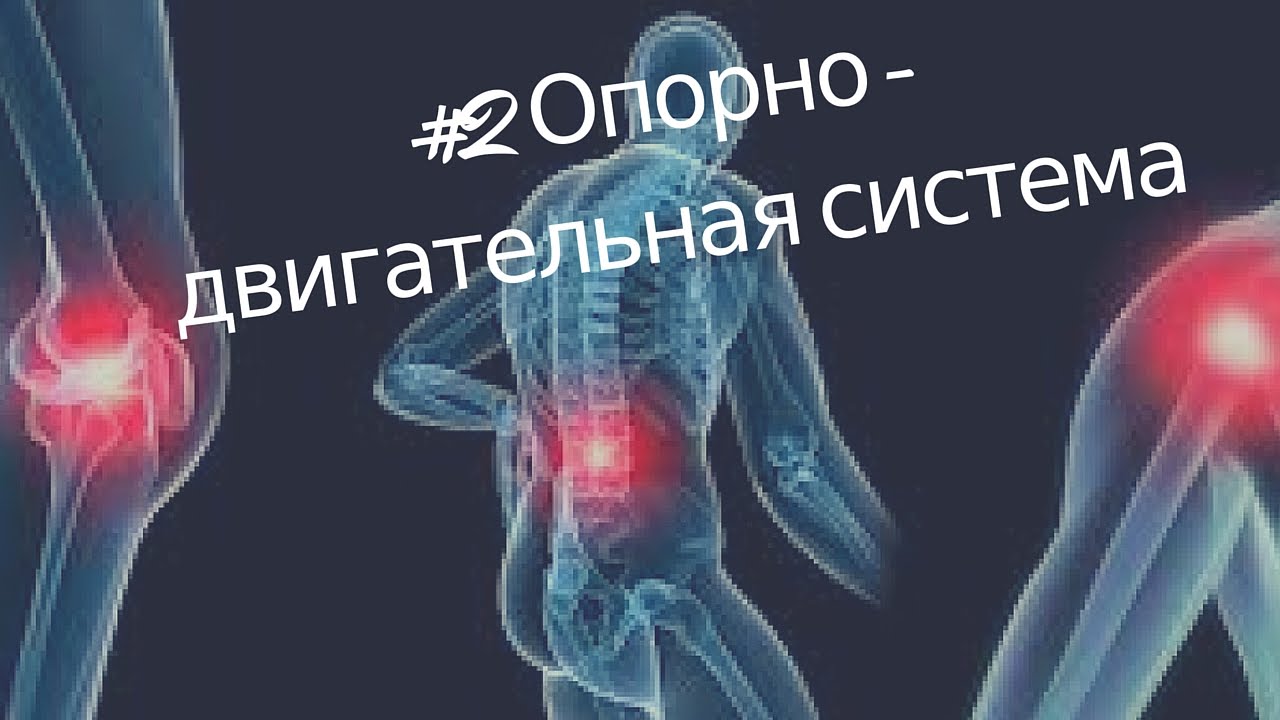 Опорно-двигательный аппарат.Реабилитация